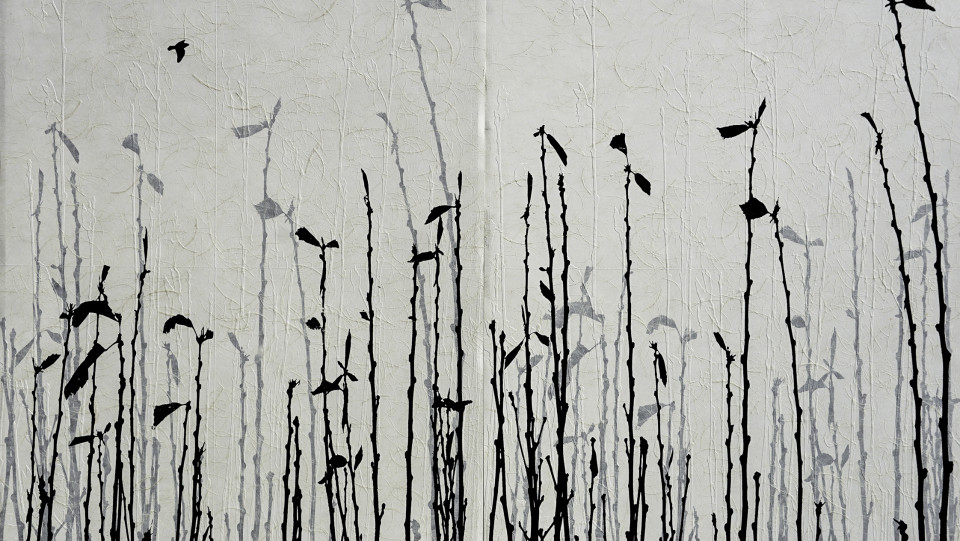 Bosque com p&aacute;ssaro